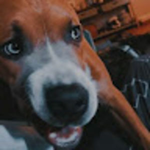 Meet your Posher, Carmella